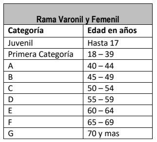 Tabla de categorías