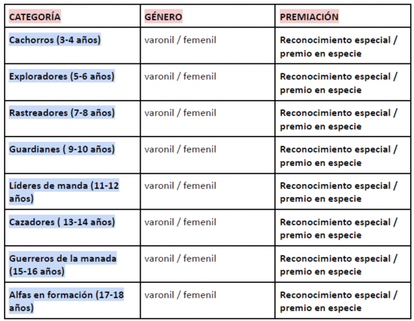 Categorías