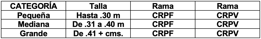 Imagen de convocatoria