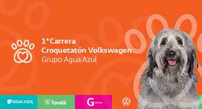 Logo de 1ra Carrera Croquetatón Volkswagen