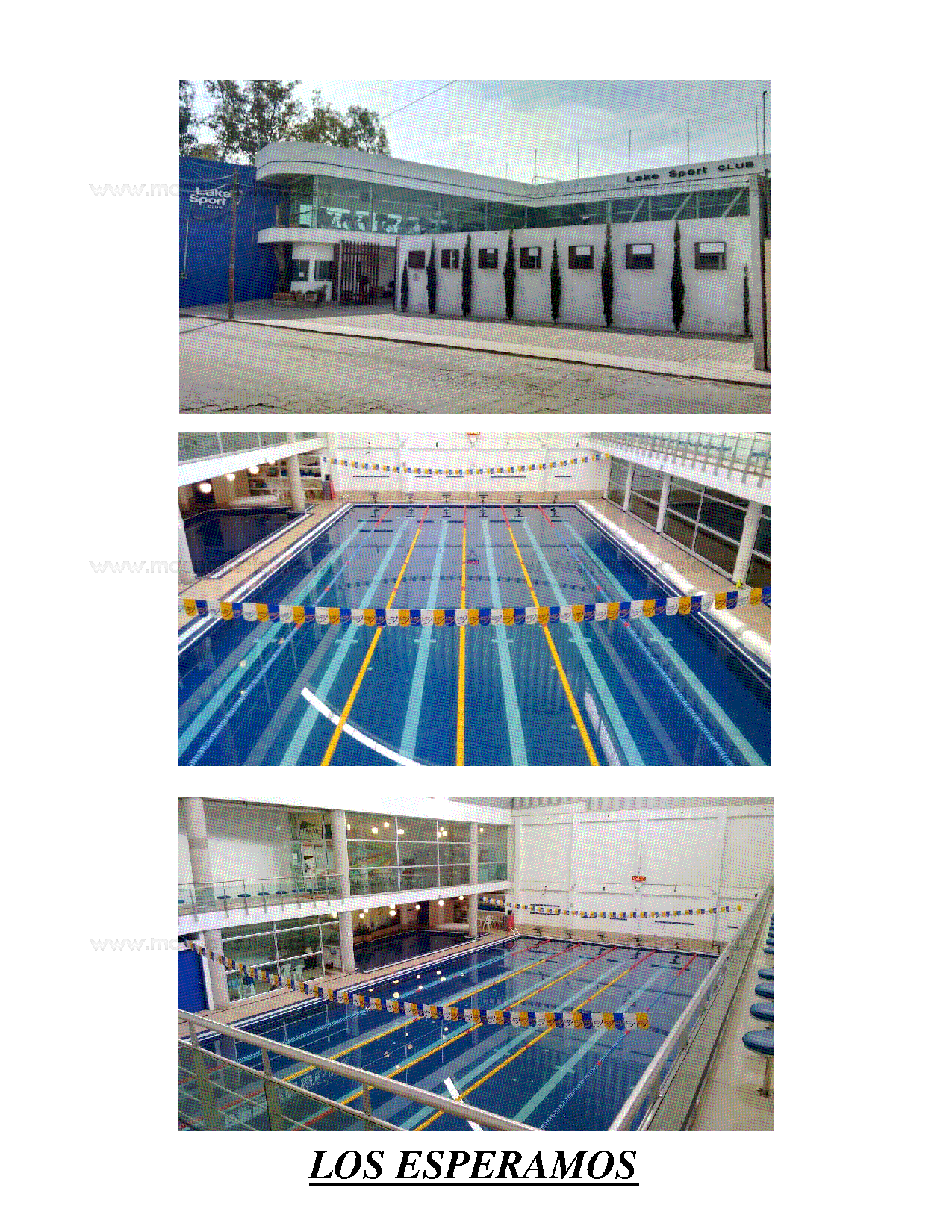 5ta Copa de Aniversario Lake Sport Club 2019 - Página 7