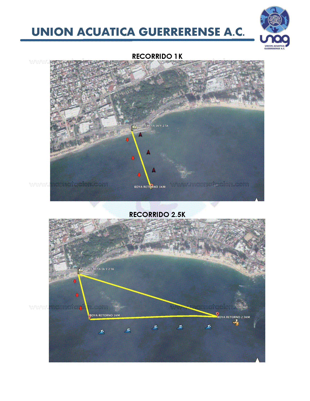 Apolonio Castillo - Página 4