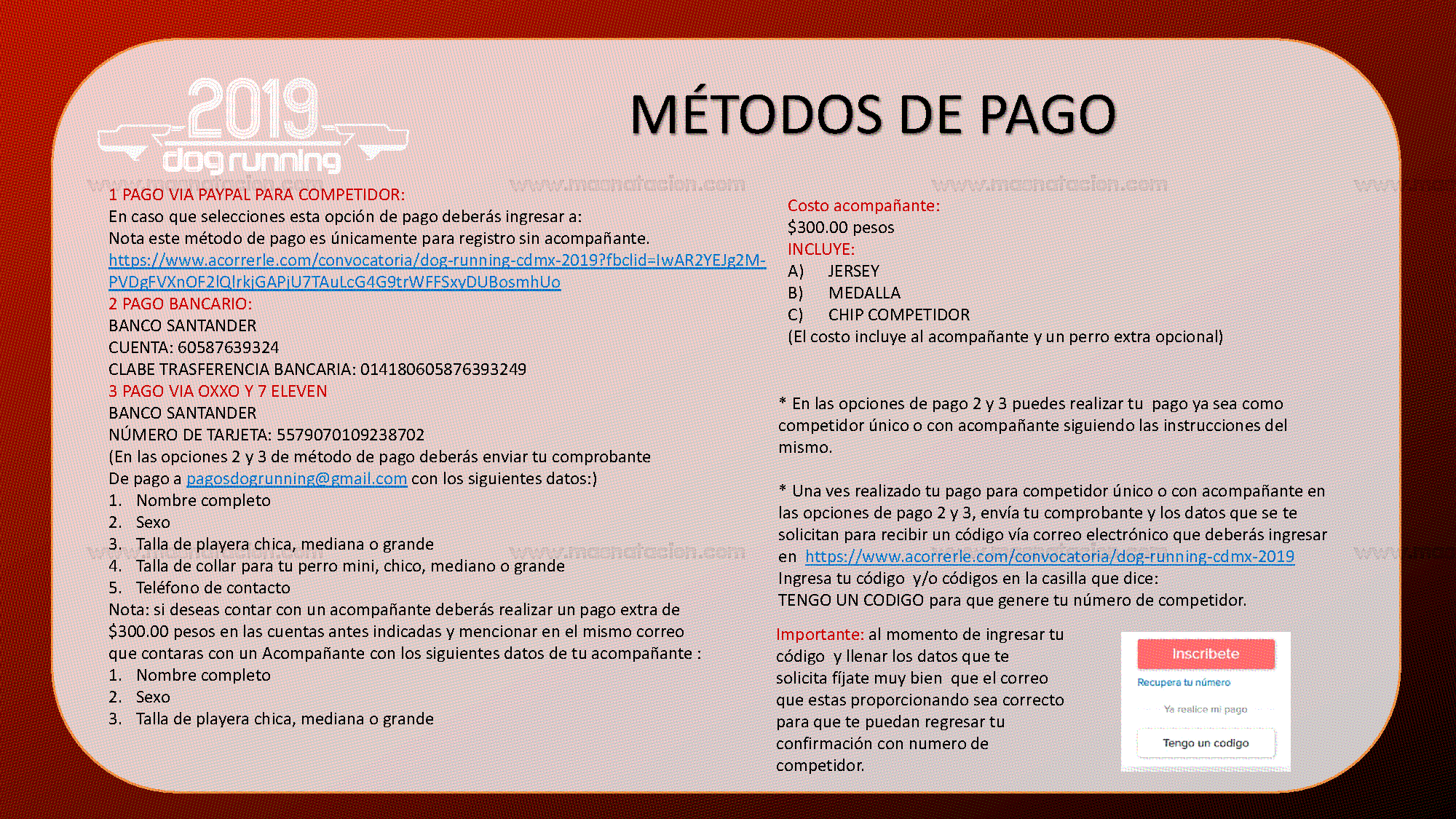 Dog Running Cdmx 2019 - Página 11