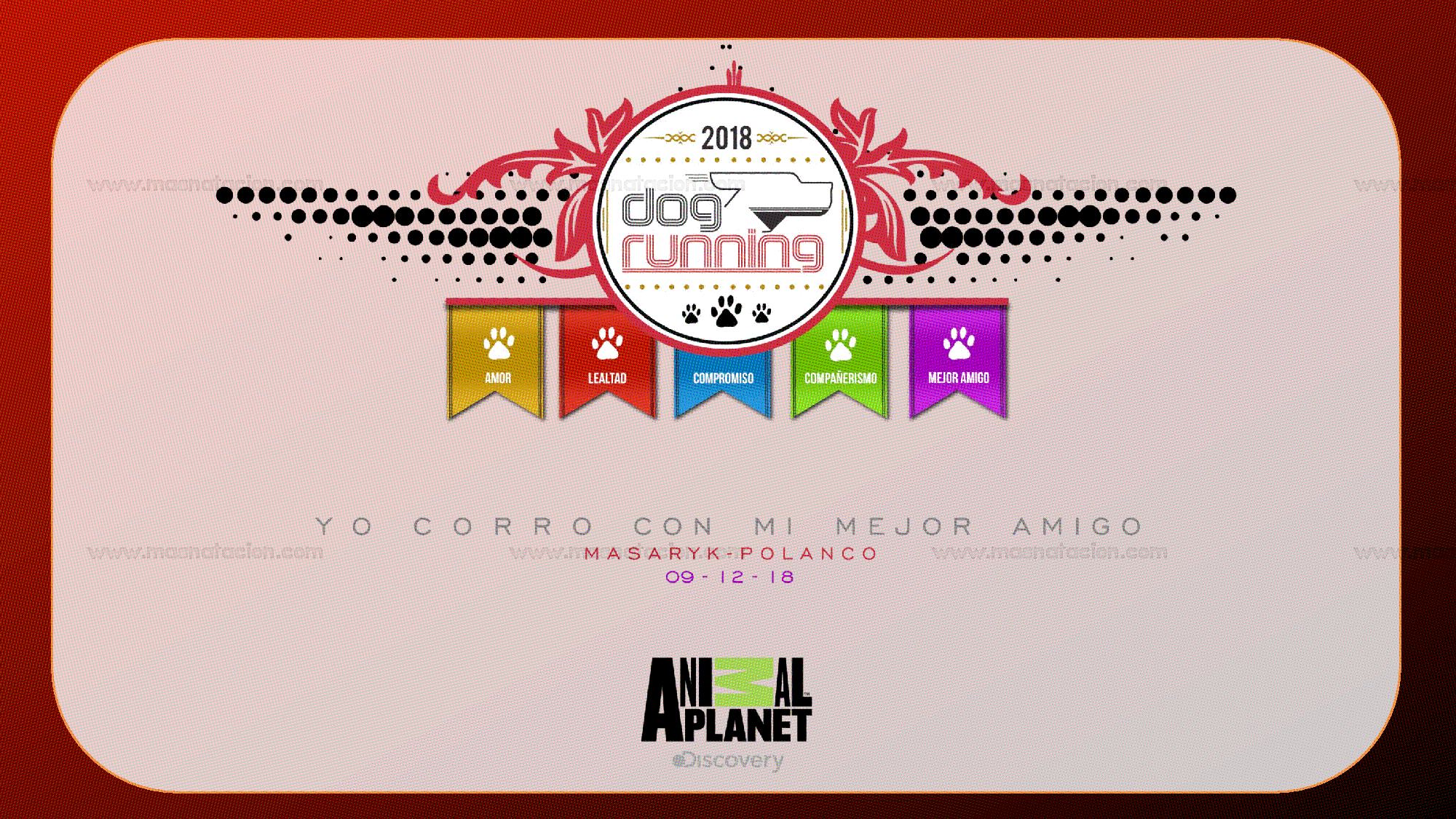 Dog Running Cdmx 2019 - Página 12