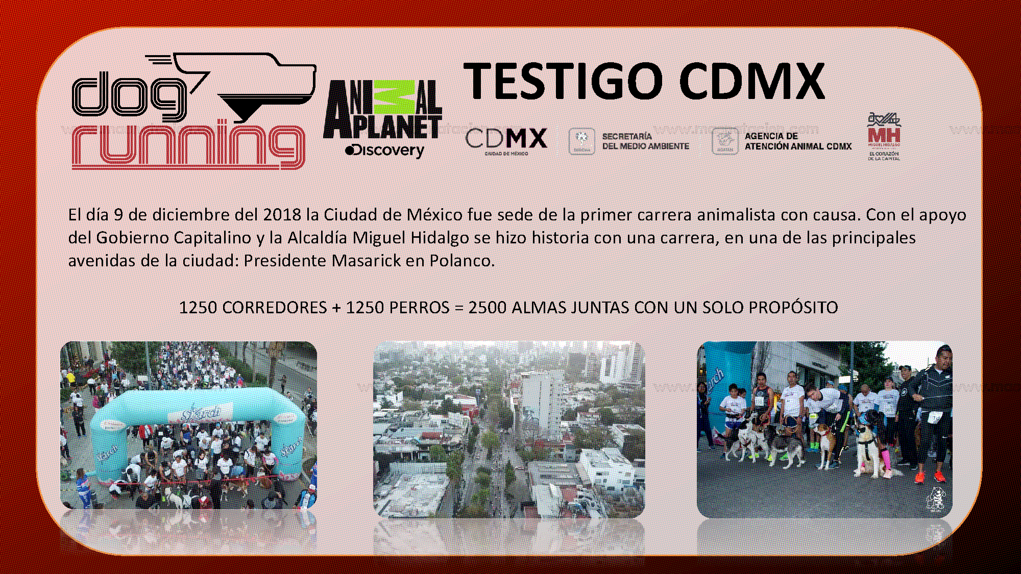 Dog Running Cdmx 2019 - Página 13