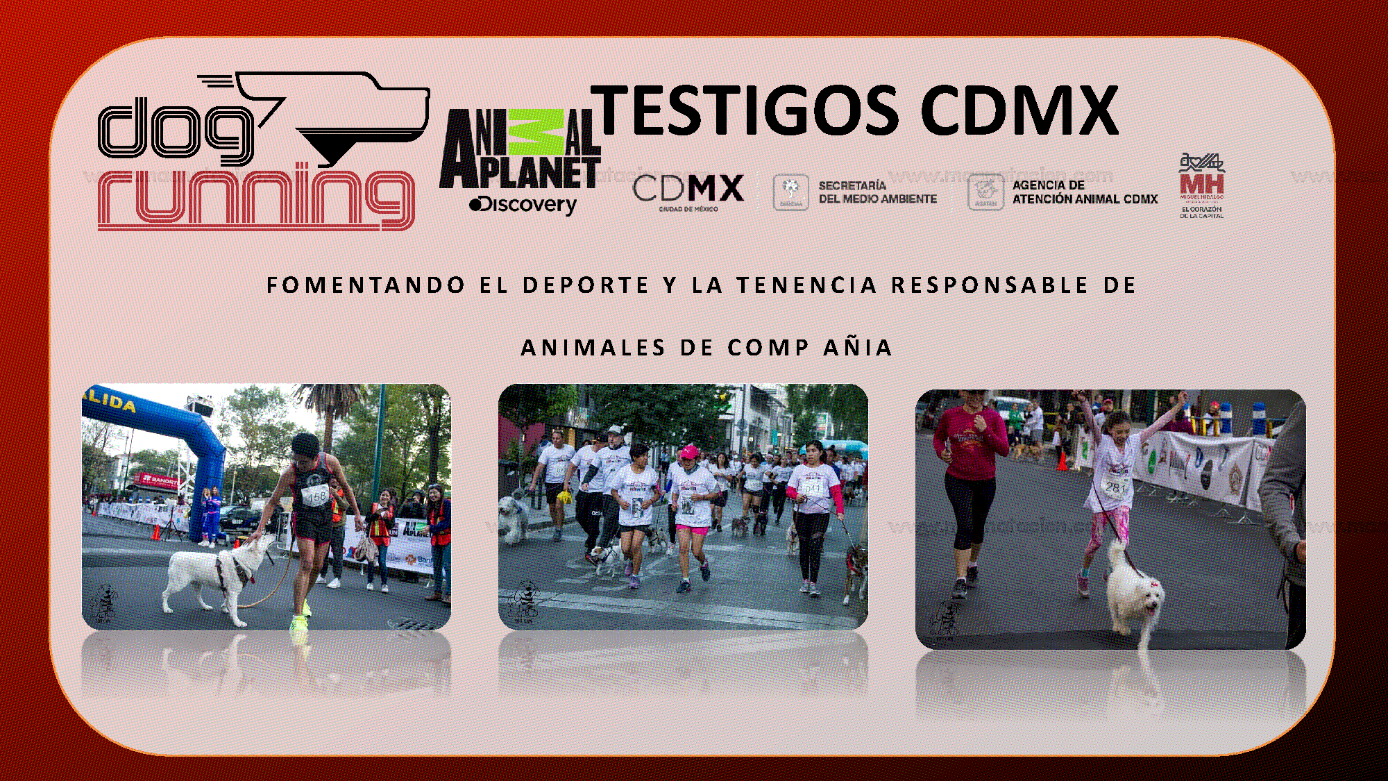 Dog Running Cdmx 2019 - Página 14