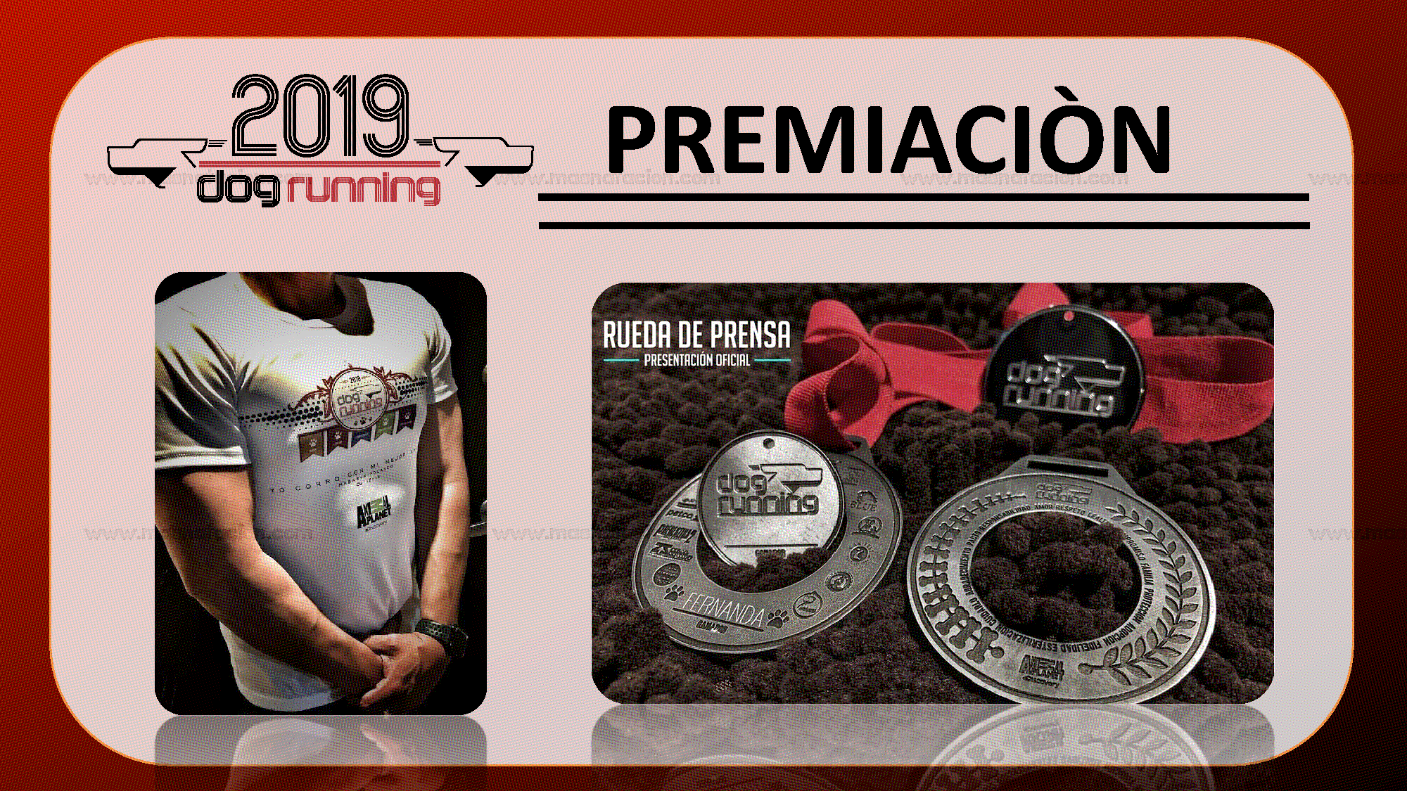 Dog Running Cdmx 2019 - Página 15