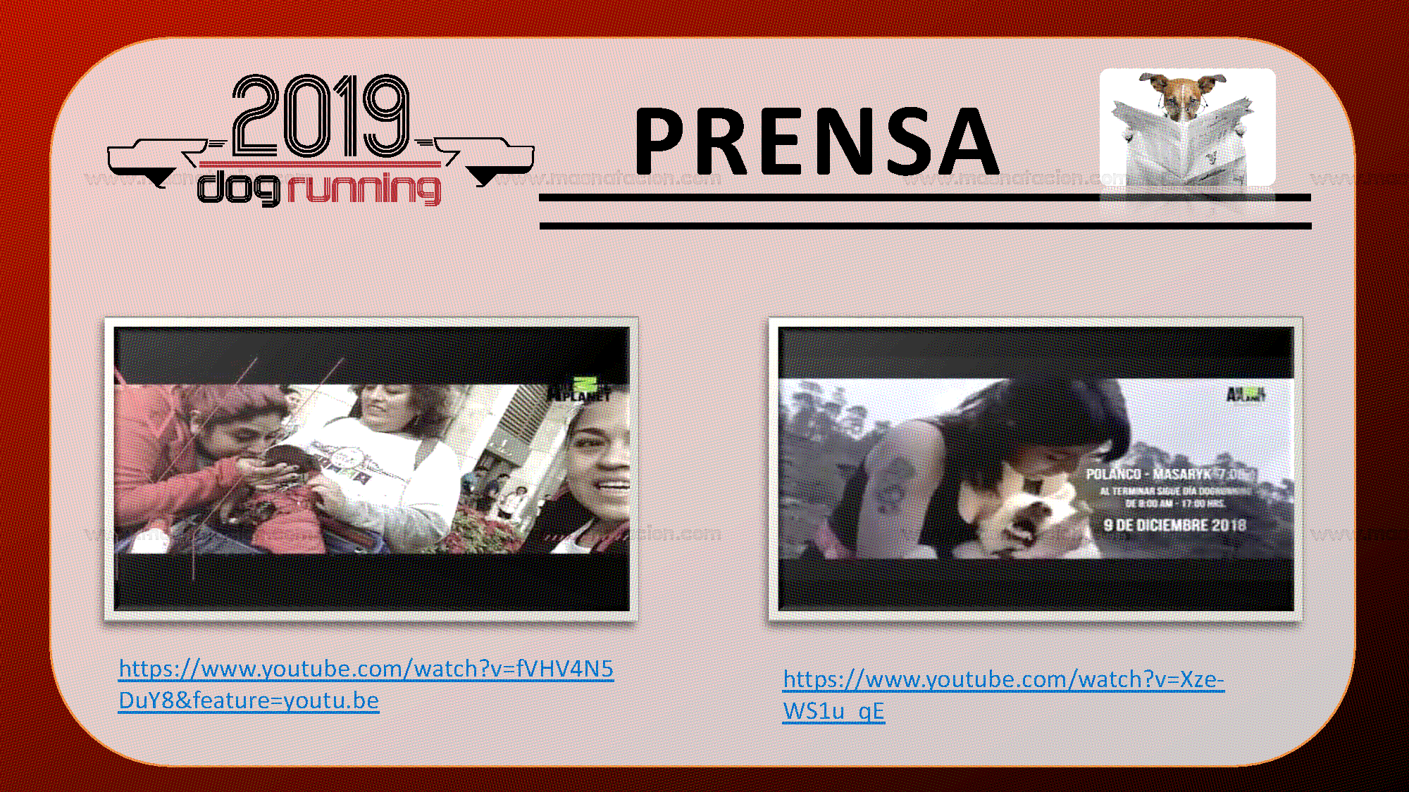 Dog Running Cdmx 2019 - Página 16