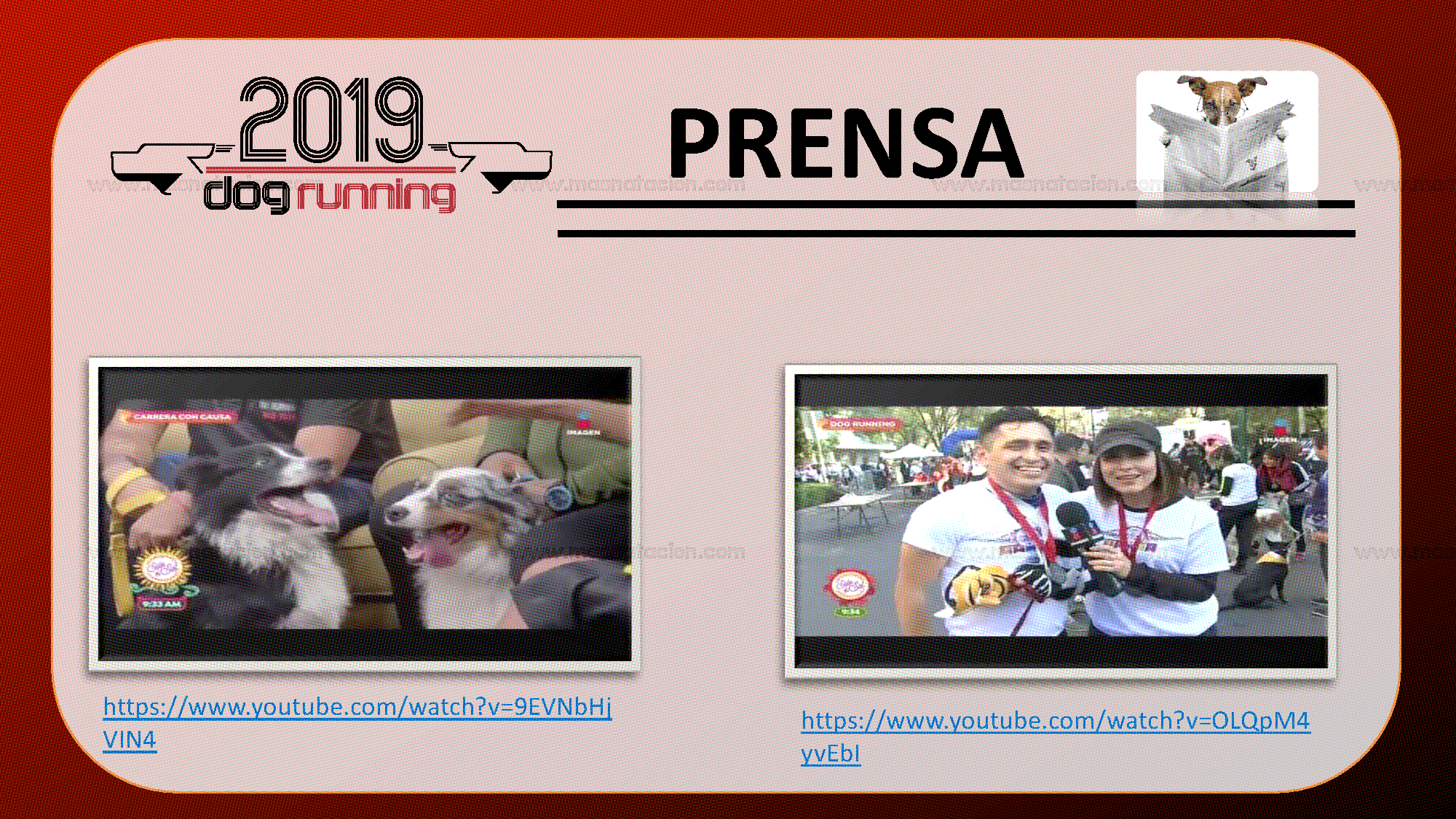 Dog Running Cdmx 2019 - Página 17