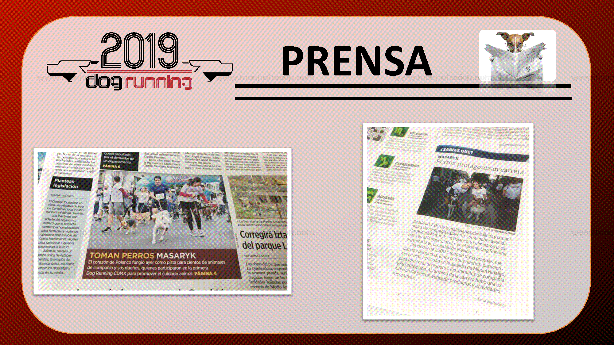 Dog Running Cdmx 2019 - Página 18