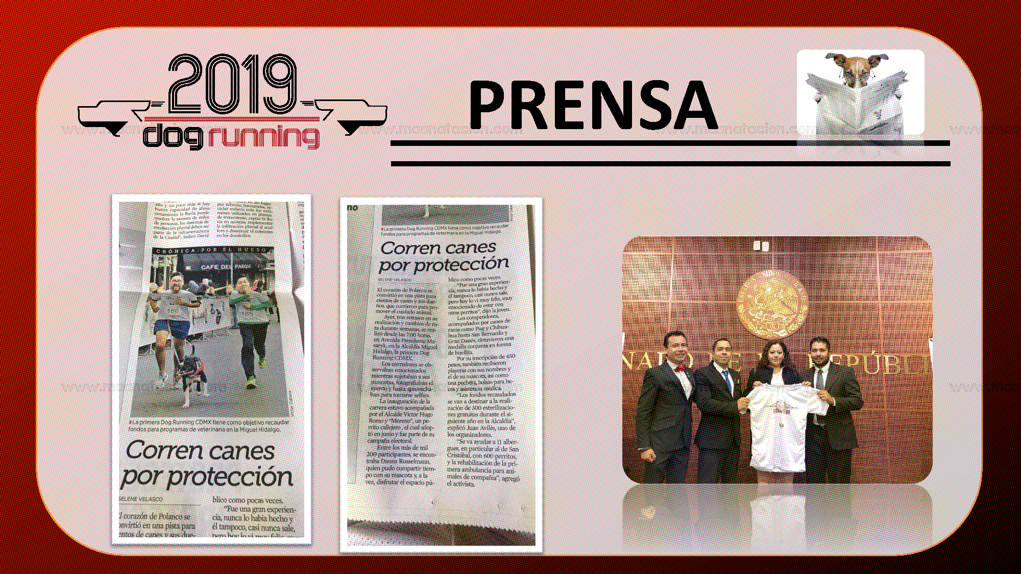 Dog Running Cdmx 2019 - Página 19