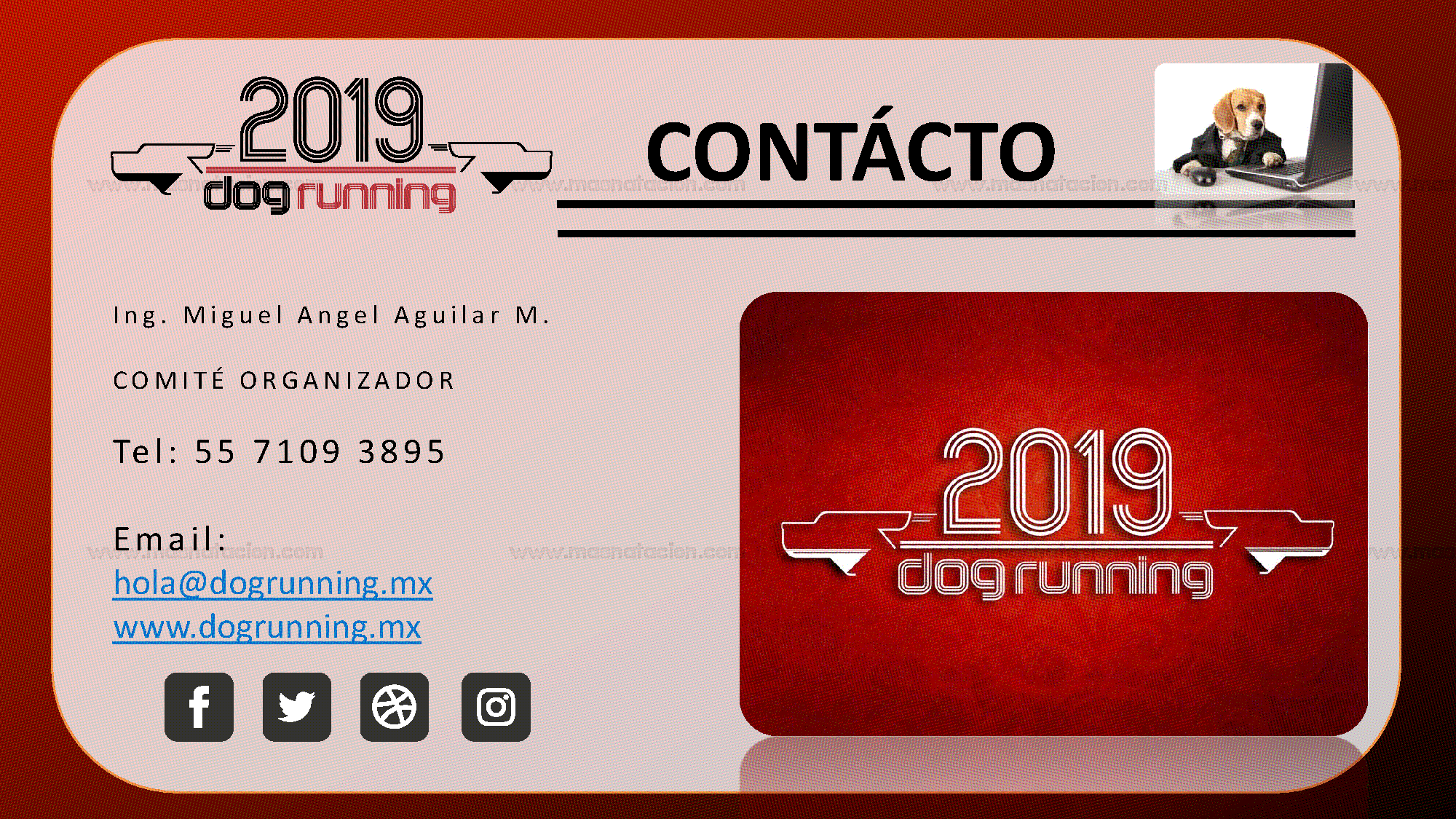 Dog Running Cdmx 2019 - Página 20