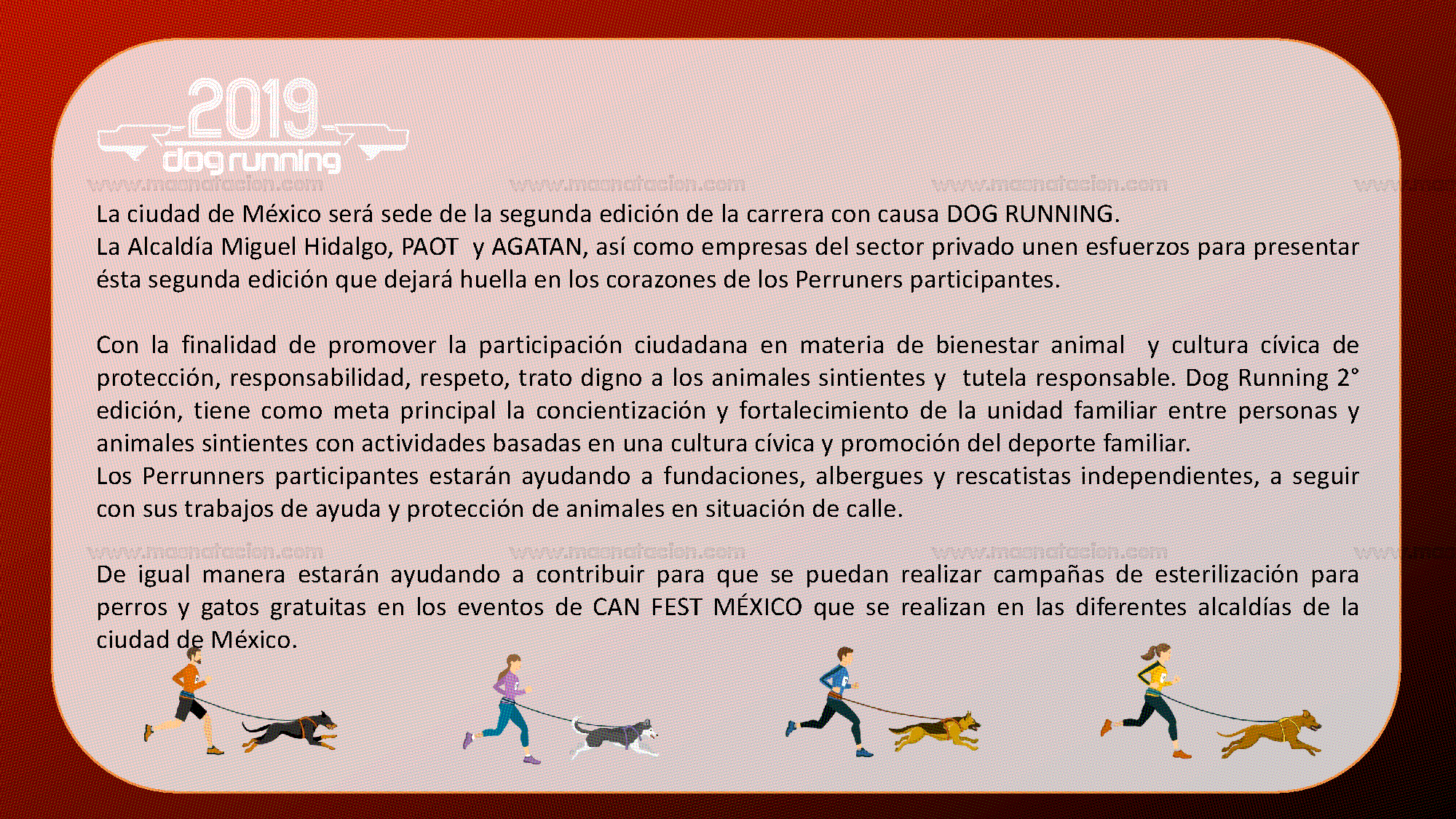 Dog Running Cdmx 2019 - Página 4