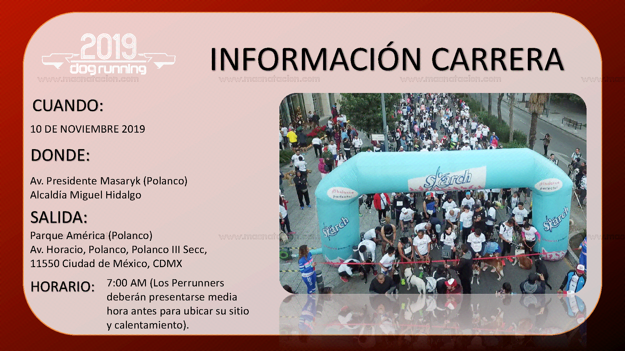 Dog Running Cdmx 2019 - Página 5