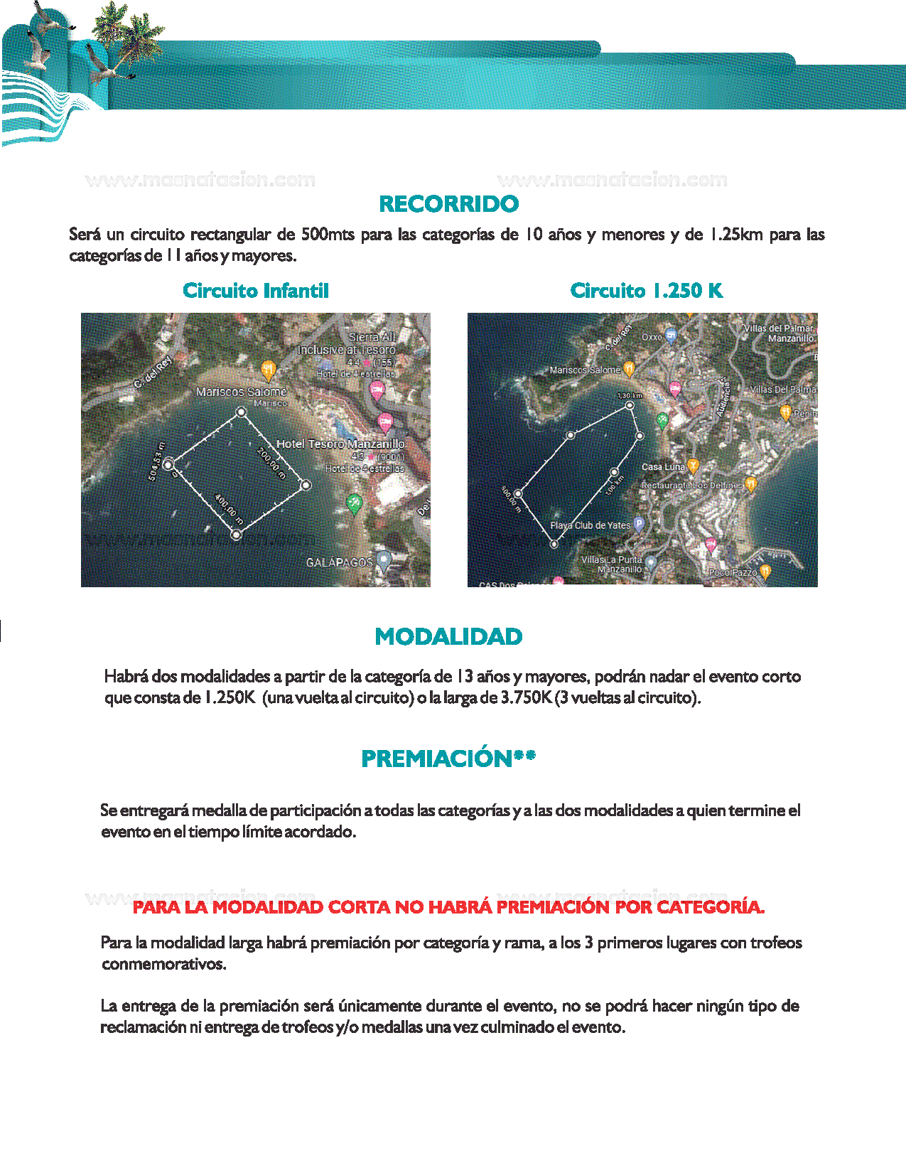 Festival Aguas Abiertas Nado Seguro 2023 - Página 4