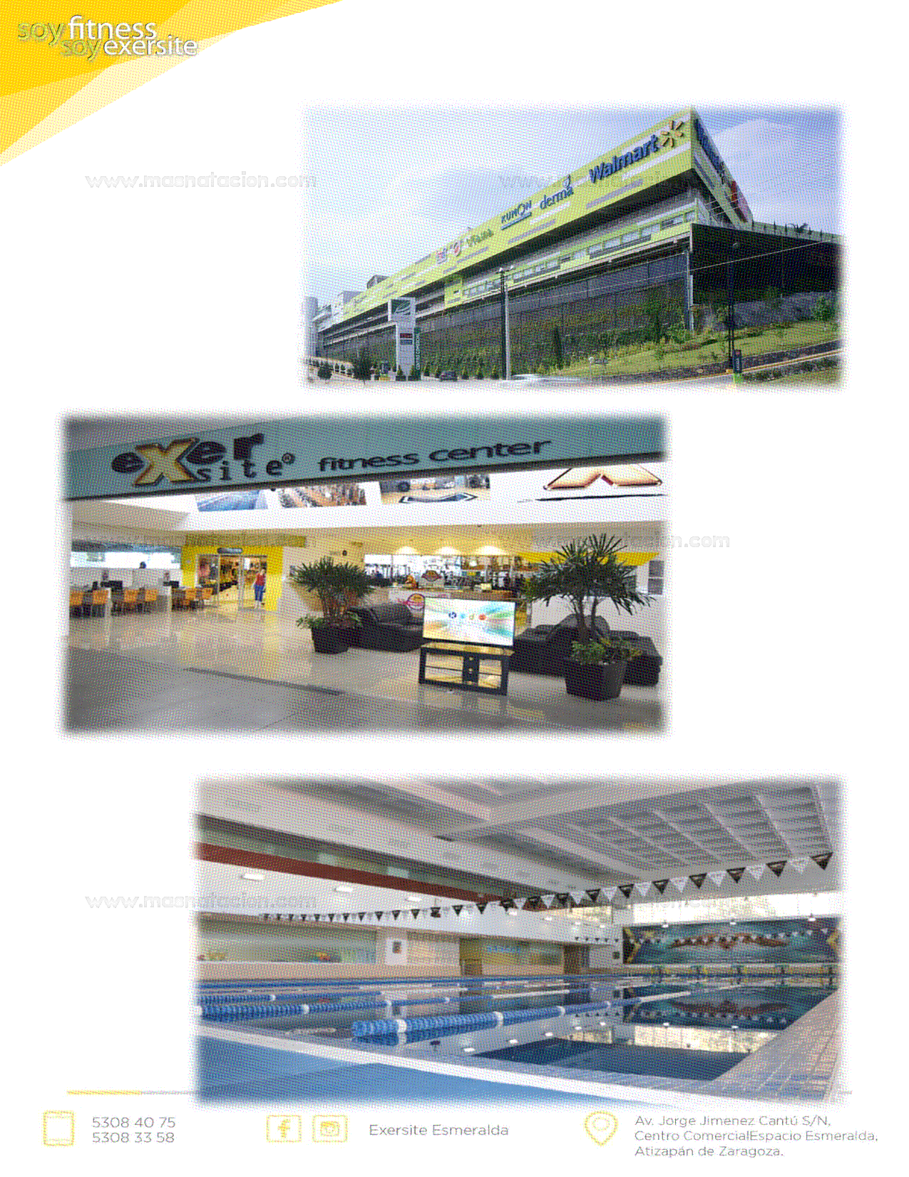 Torneo De Natacion Infantil Y Juvenil Exersite Esmeralda 2019 - Página 6