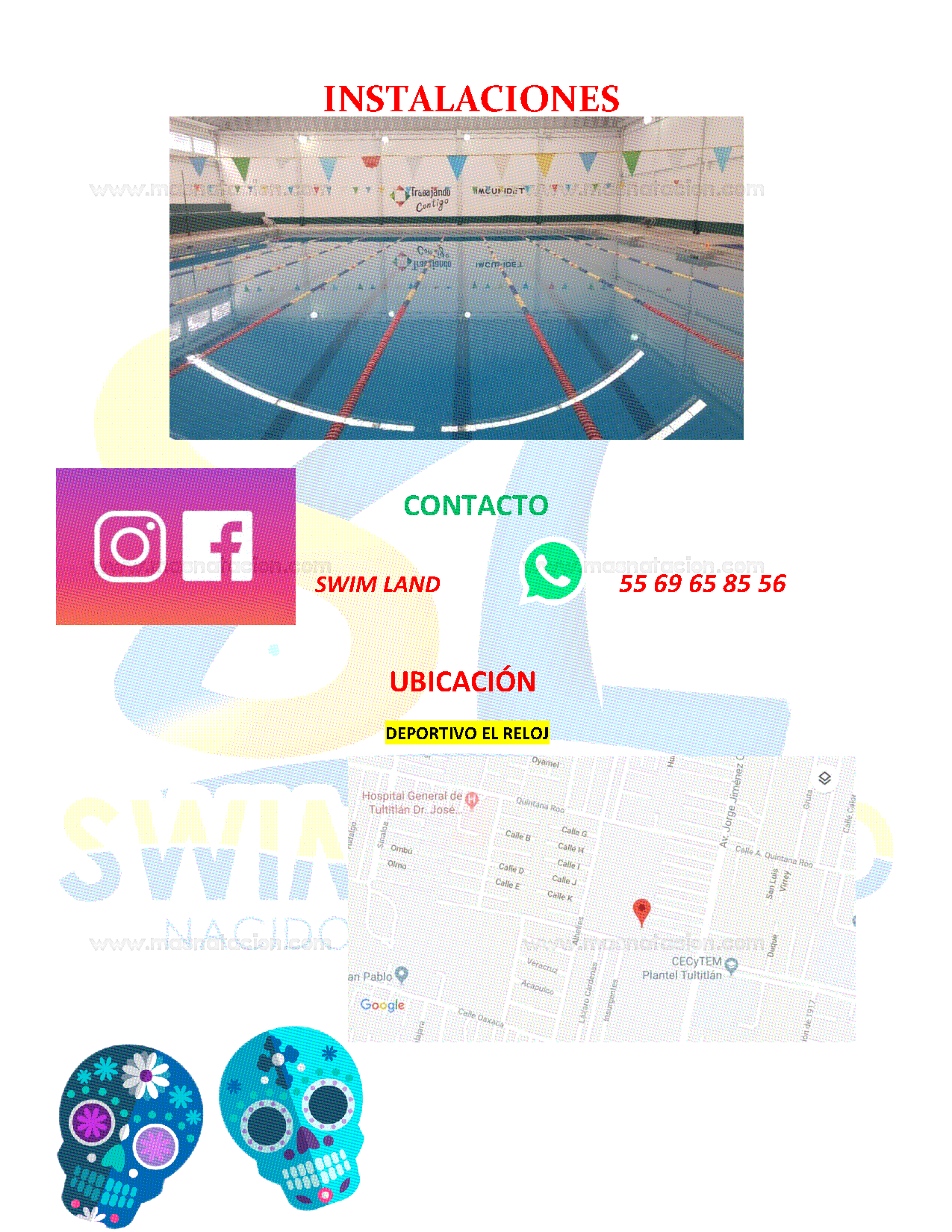 Encuentro Acuatico de Escuelitas Dia De Muertos Swimland 2018 - Página 5