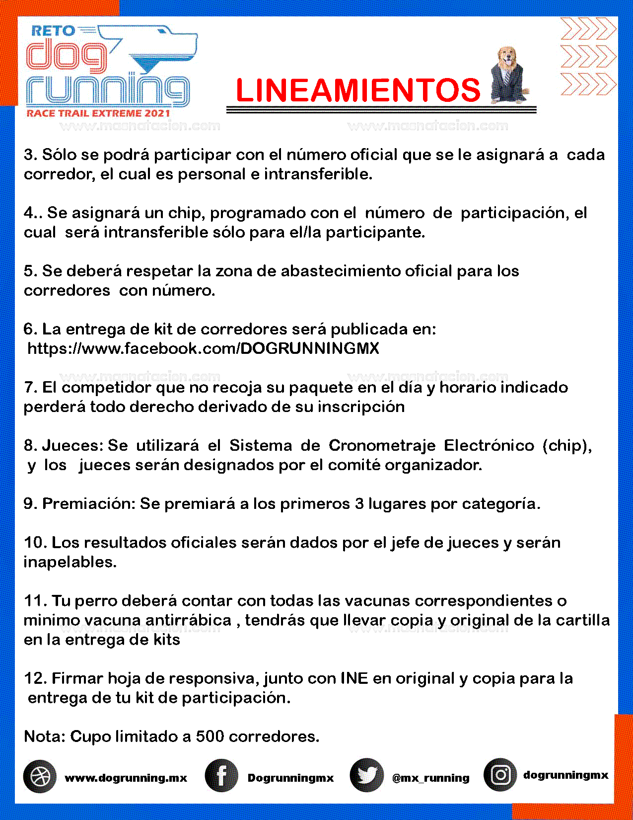 Dog Running 2021 - Página 4