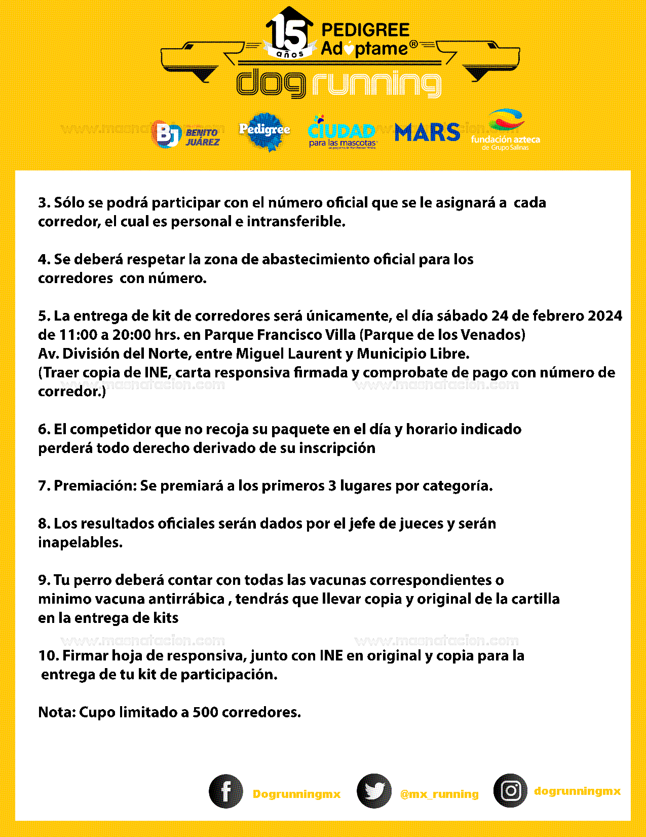 15 Años Pedigree Adoptame Dog Running 2024 - Página 4