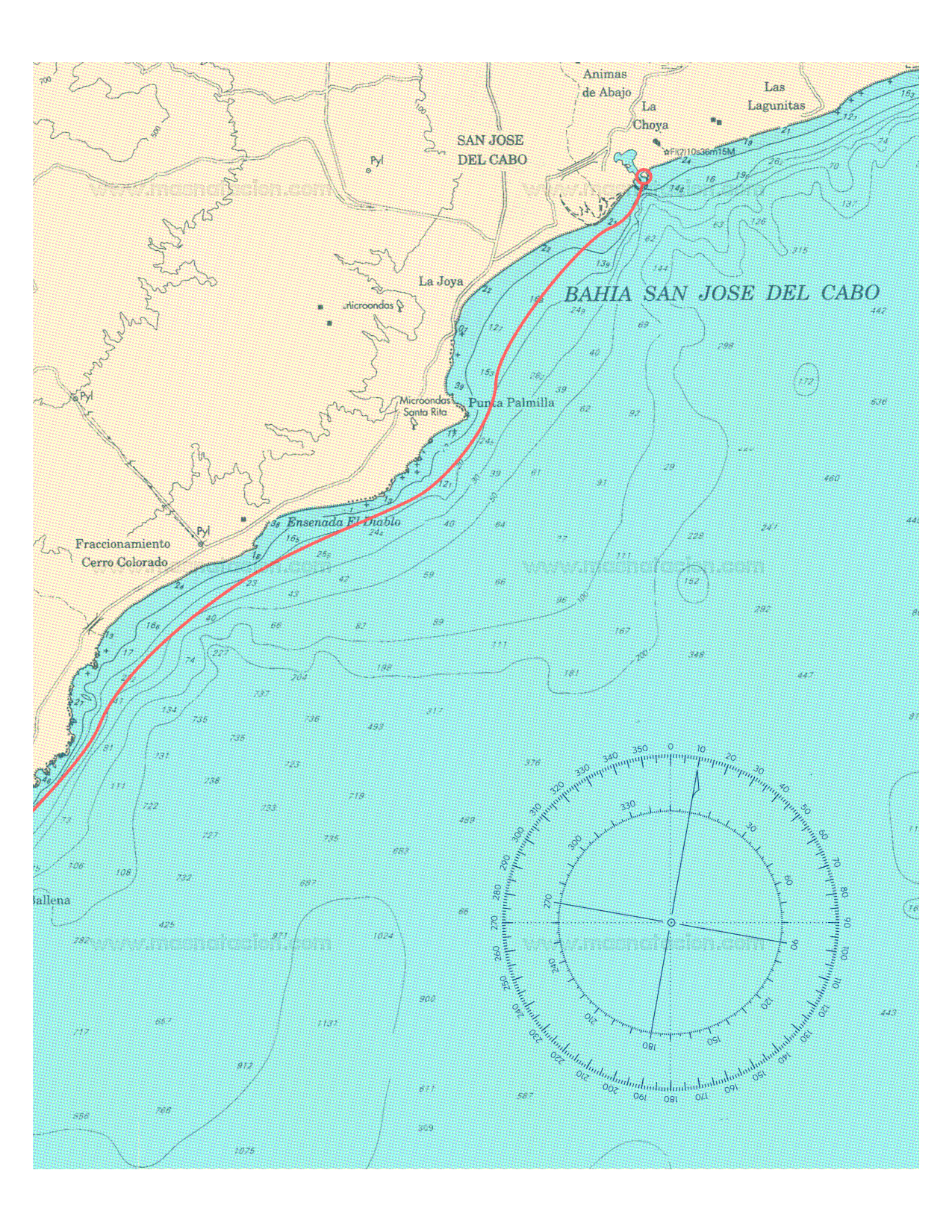 1era Edición Open Water Acuarium 2020 - Página 9