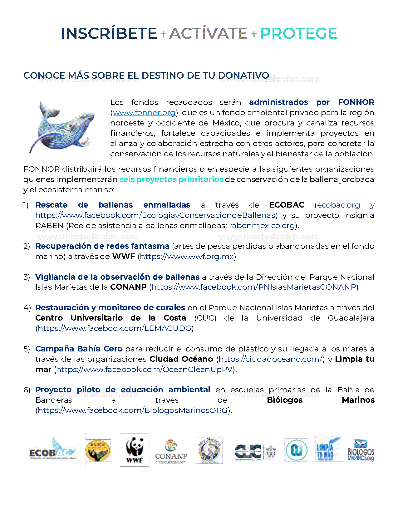 2do Nado Por Las Ballenas 2024 - Página 7