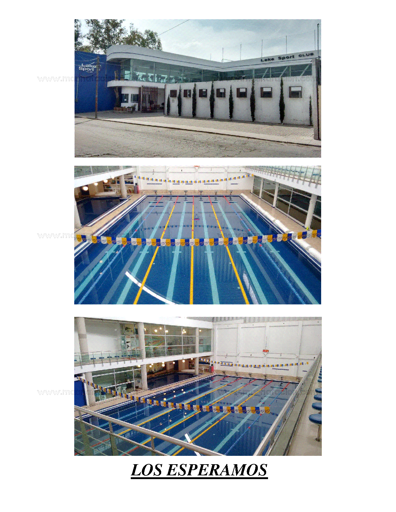 Torneo De Velocidad 2020 Lake Sport Club - Página 6