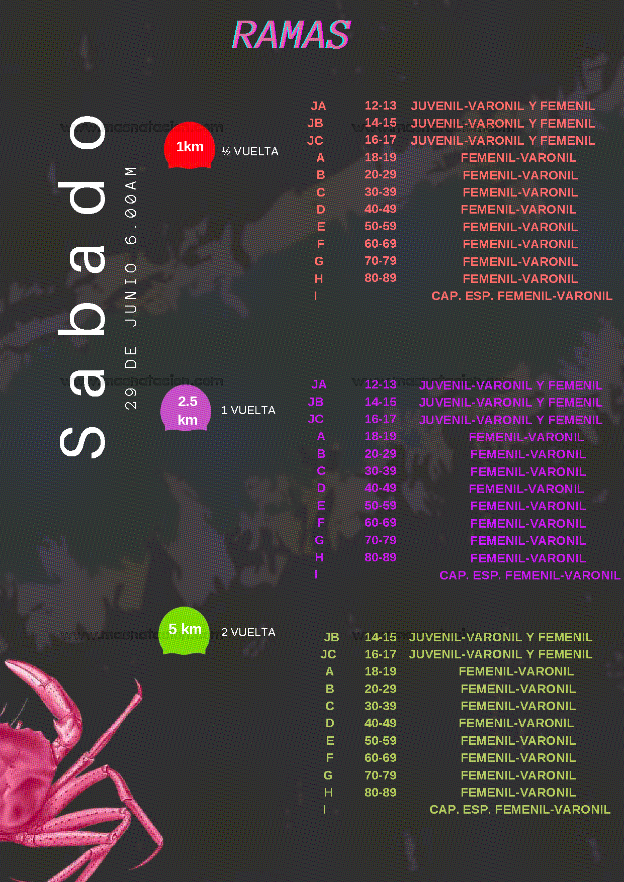 La Vuelta Al Faro 5.0 2024 - Página 4