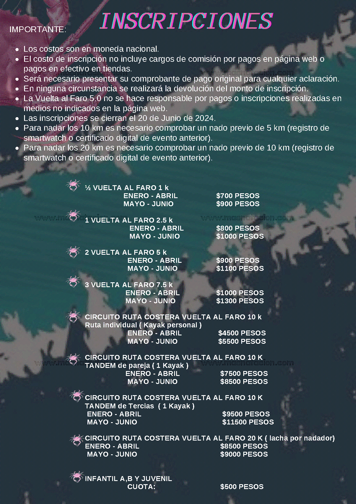 La Vuelta Al Faro 5.0 2024 - Página 6