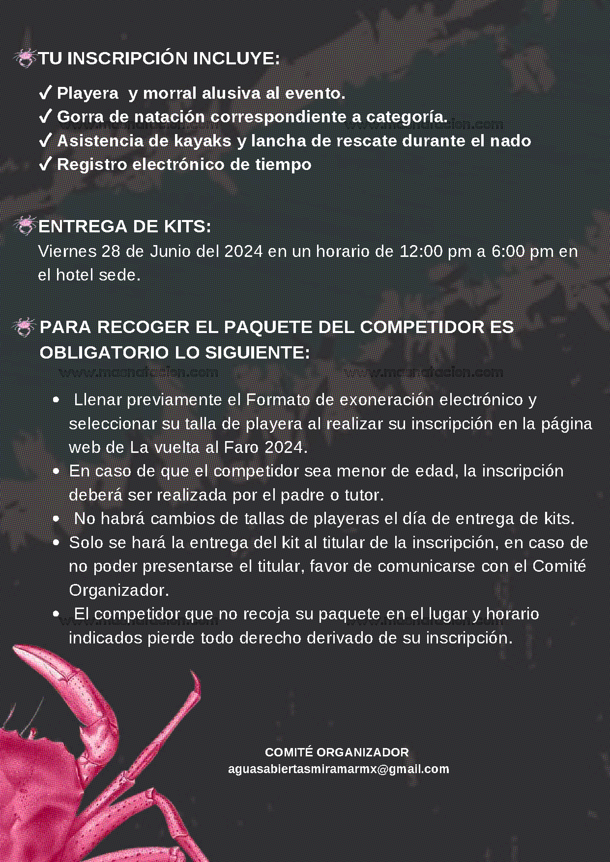 La Vuelta Al Faro 5.0 2024 - Página 7