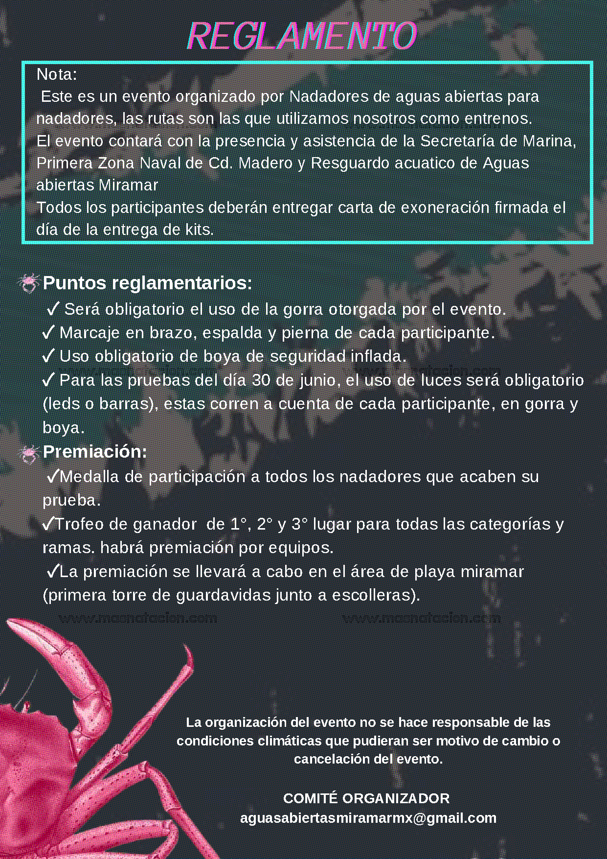 La Vuelta Al Faro 5.0 2024 - Página 8