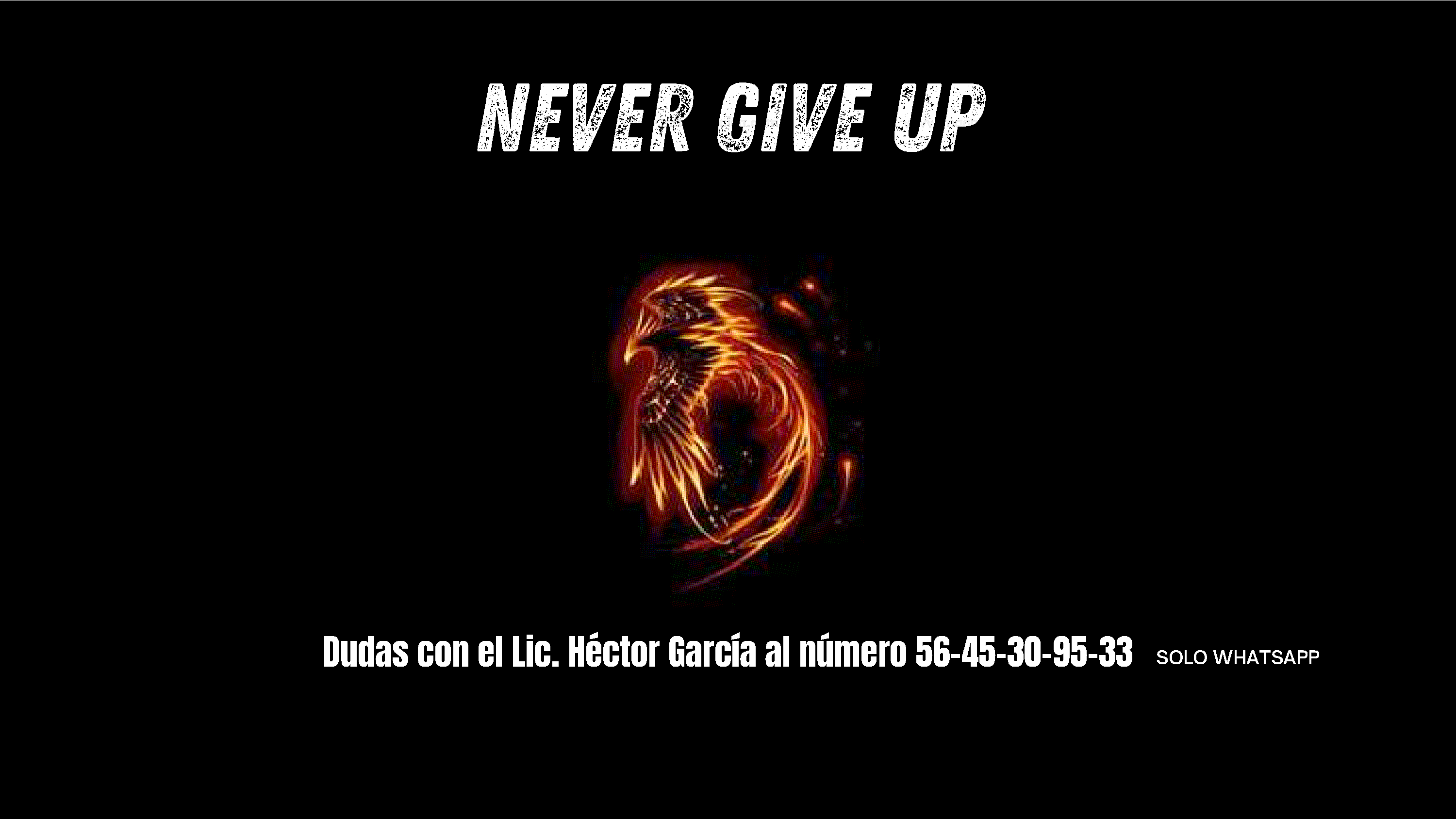 Torneo De Velocidad - Phoenix Sport - Página 9