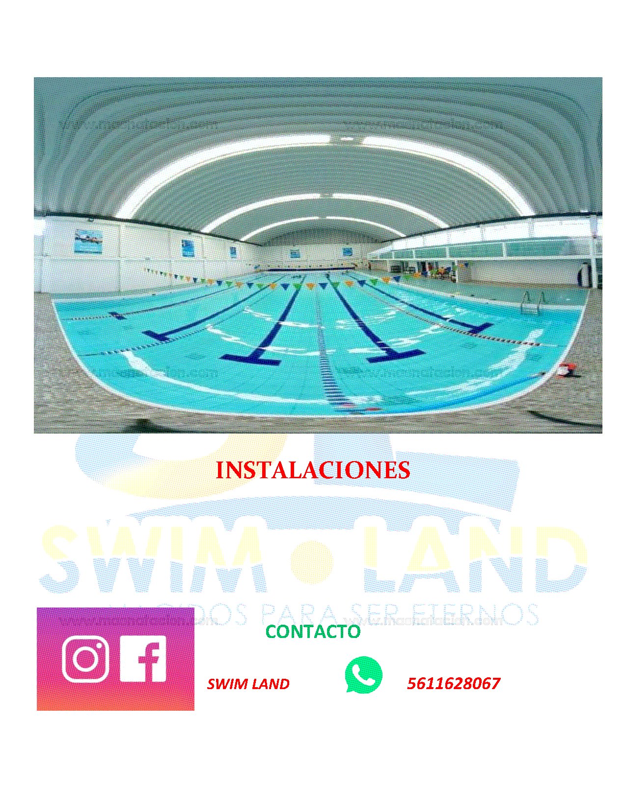 Torneo De Velocidad Swim Land 2019 - Página 5
